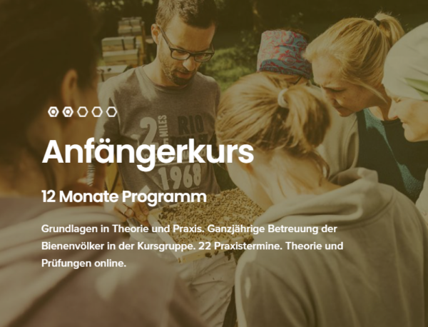 Anfängerkurs 2023