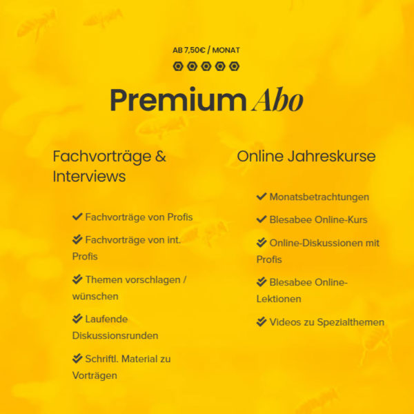 Premium Konto jährlich