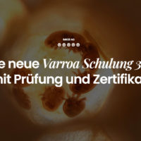 Varroa Schulung 3.0 @Fachtagung 2023