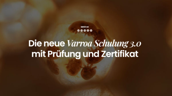 Varroa Schulung
