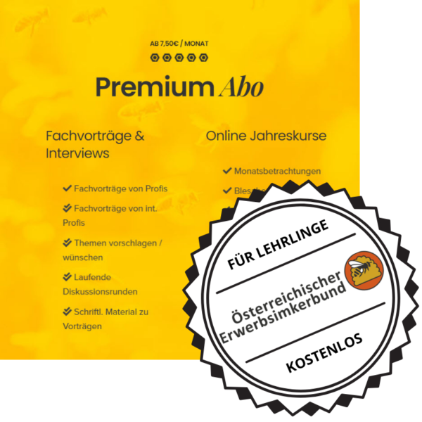 Premium Konto für Lehrlinge