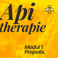 Modul 1 Propolis – Kurs Apitherapie