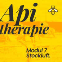 Modul 7 Stockluft – Kurs Apitherapie