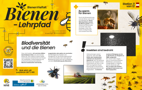 Bienen-Lehrpfad