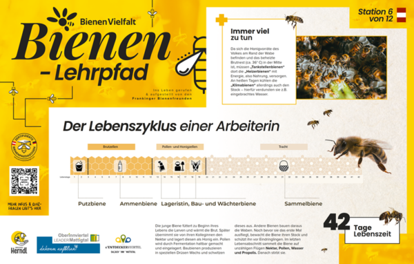 Bienen-Lehrpfad