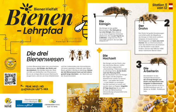 Bienen-Lehrpfad