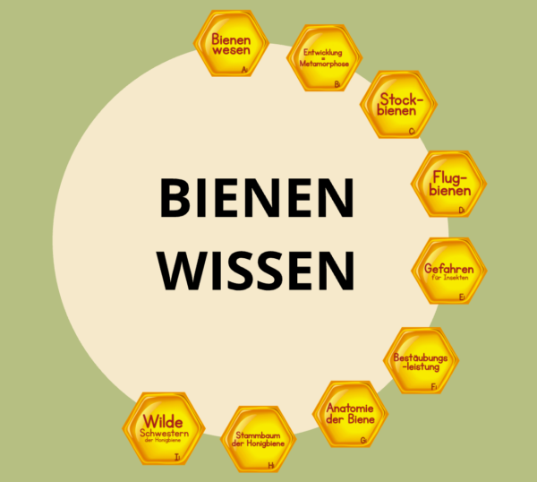 Legekarten Bienenpädagogik