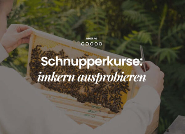 Imker-Schnupperkurs 2023