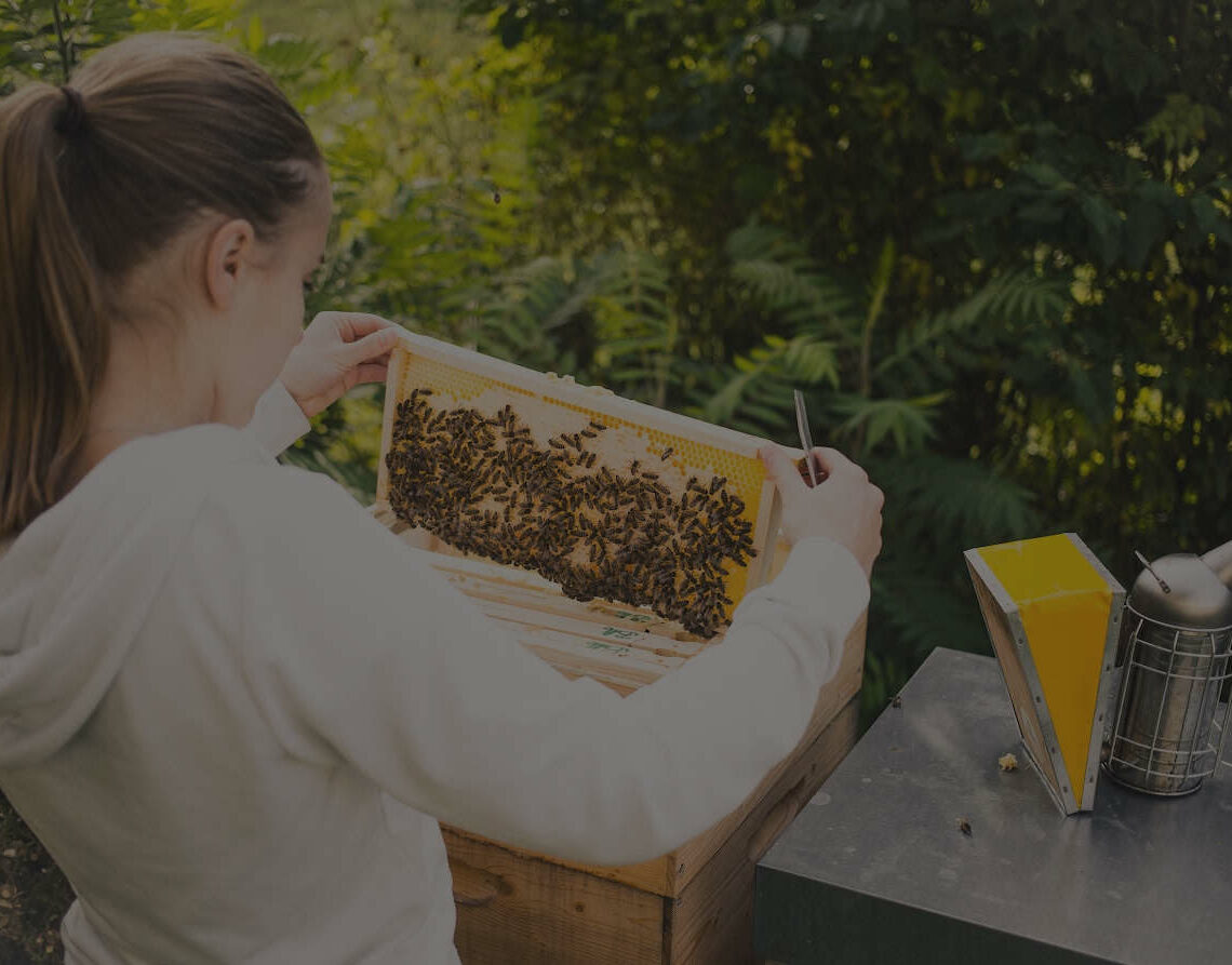 Imker Schnupper Kurse in Salzburg & Wien | imker.ag