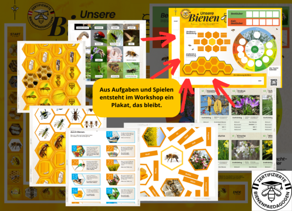 Poster & Arbeitspaket Bienenpädagogik