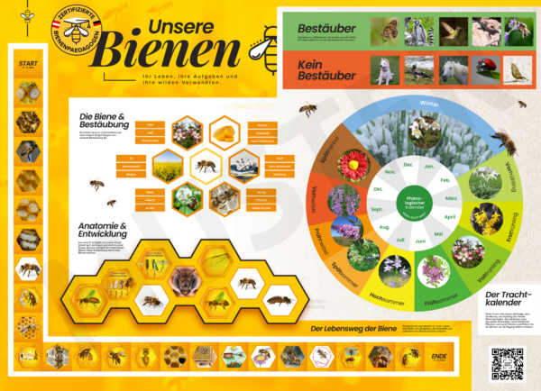 Poster & Arbeitspaket Bienenpädagogik