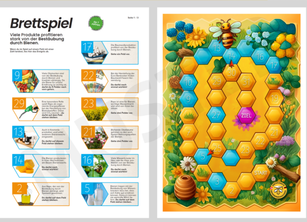 Poster & Arbeitspaket Bienenpädagogik