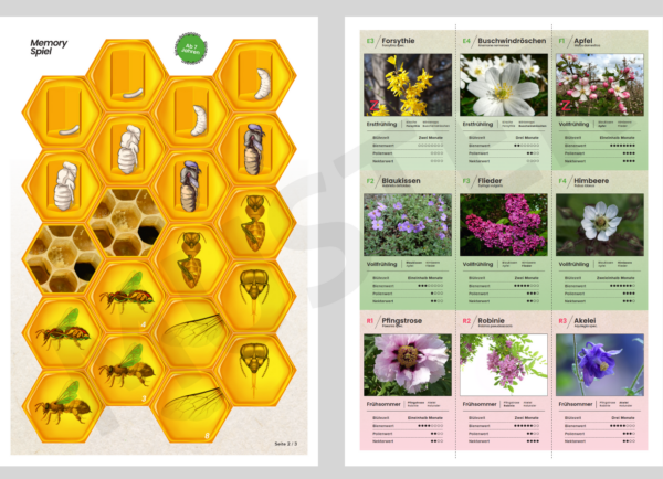 Poster & Arbeitspaket Bienenpädagogik
